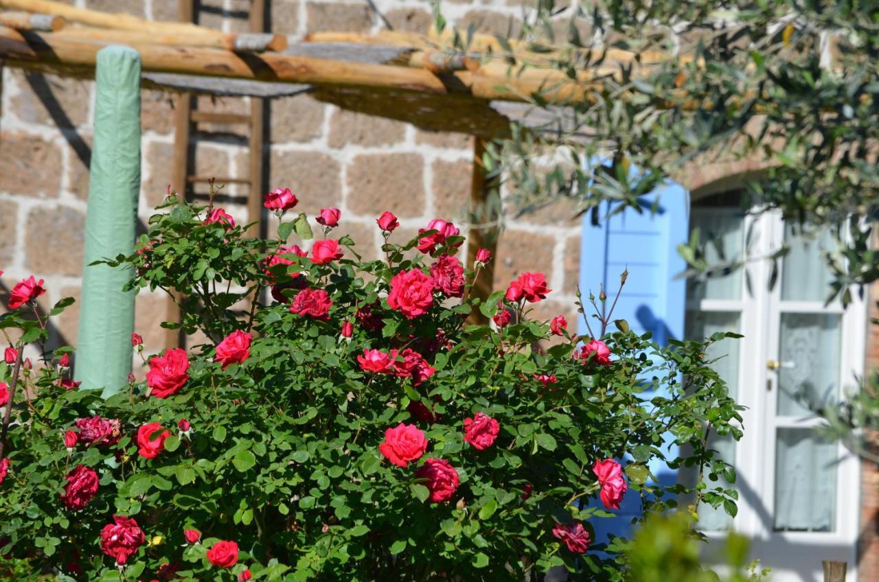 Podere Delle Rose Torre San Severo Extérieur photo