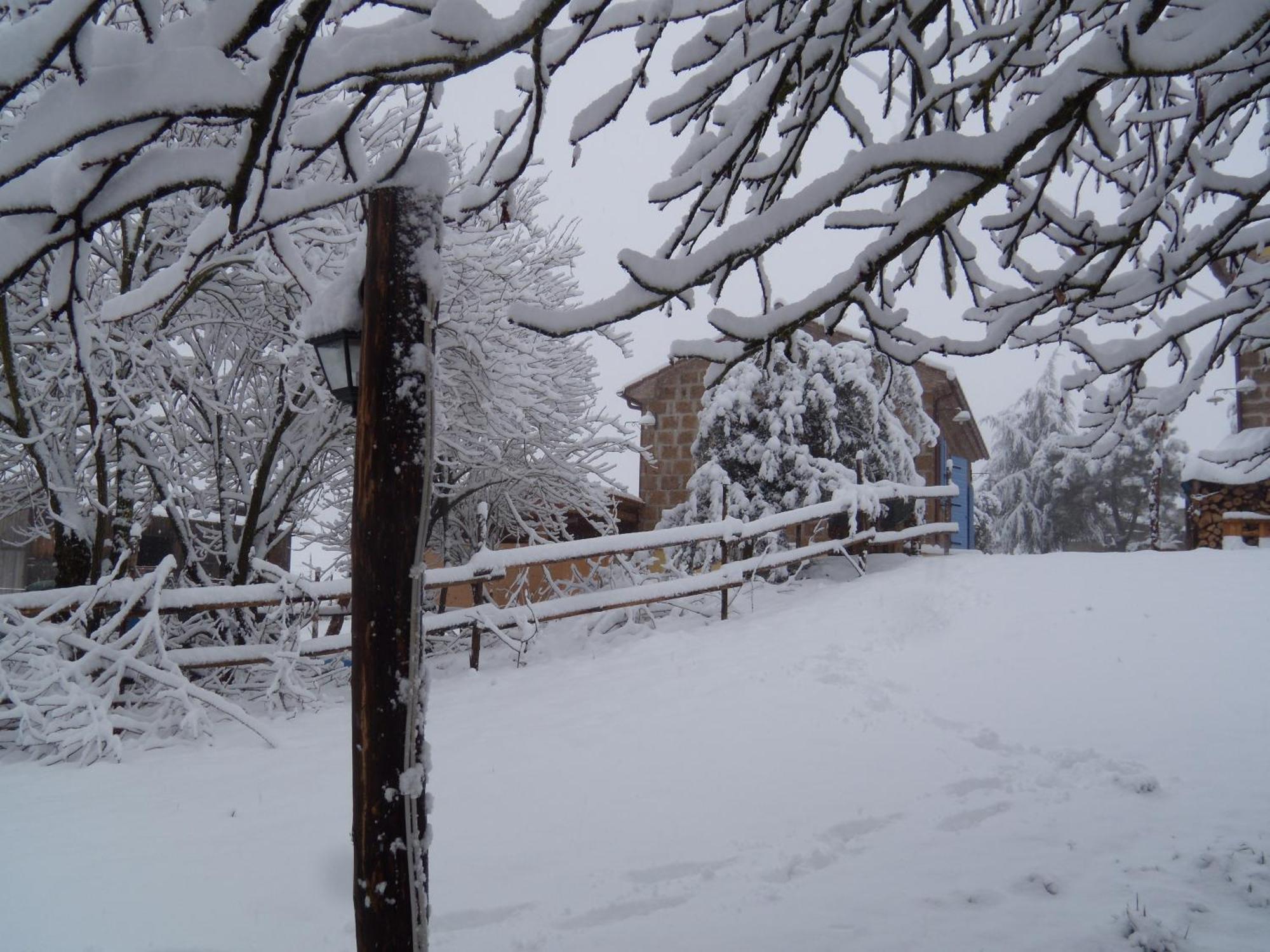 Podere Delle Rose Torre San Severo Extérieur photo