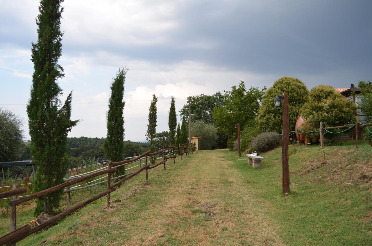 Podere Delle Rose Torre San Severo Extérieur photo