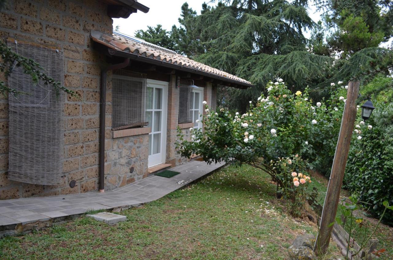 Podere Delle Rose Torre San Severo Extérieur photo